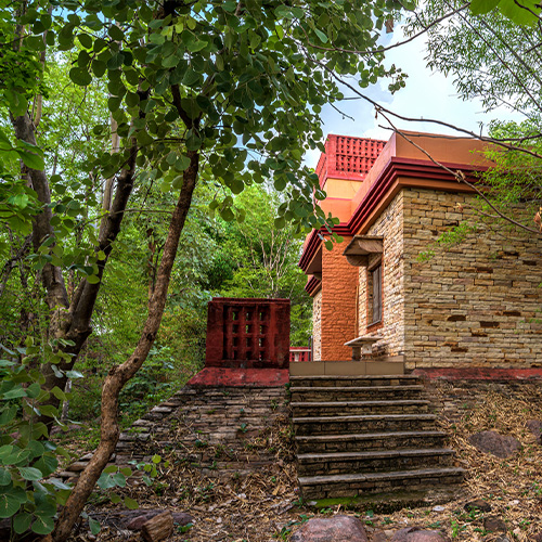 Bagoha Wilderness Retreat Homestay